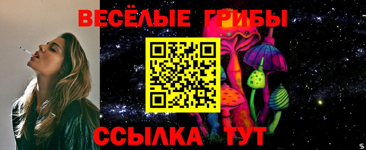 Псилоцибиновые грибы мицелий Кострома